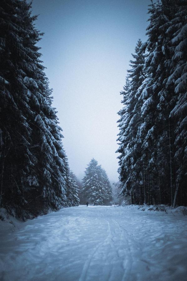 Gite La Petite Francorchamps Ardennaise Stavelot Dış mekan fotoğraf